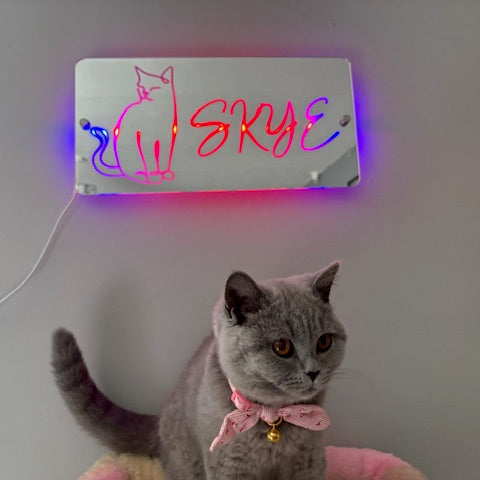 Personalised pet mirror sign